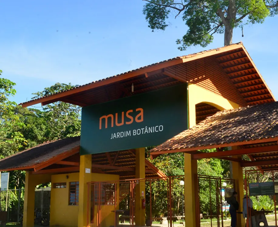 Quer visitar o MUSA? Se ligue nestas dicas.