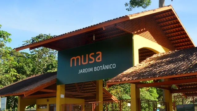 Quer visitar o MUSA? Se ligue nestas dicas.