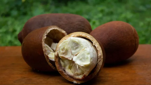 Cupuaçu: Os Principais Benefícios da Joia Amazônica